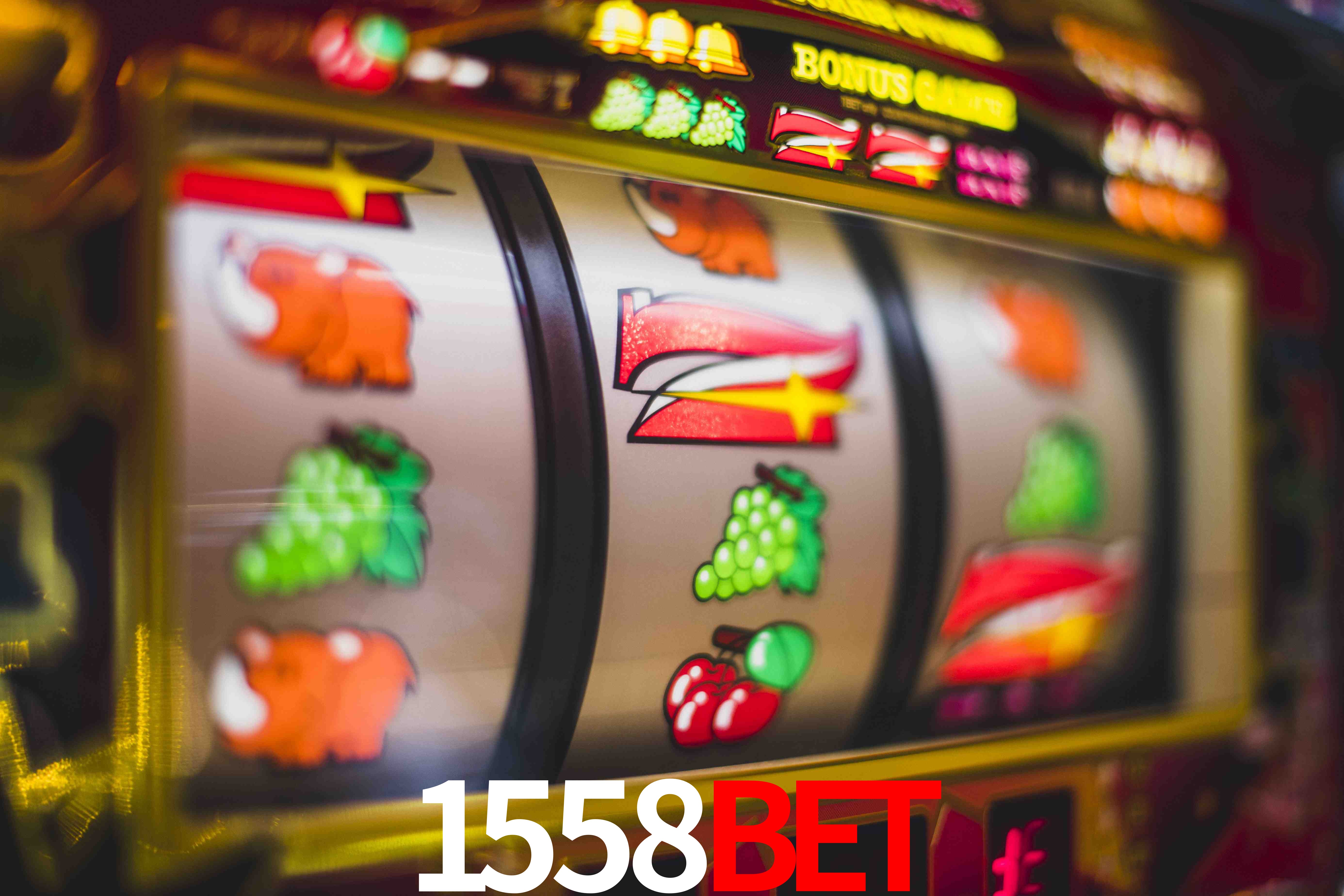 Football Betting 1558Bet